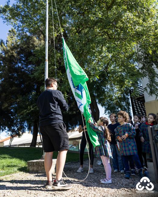 Bandeira Verde 06