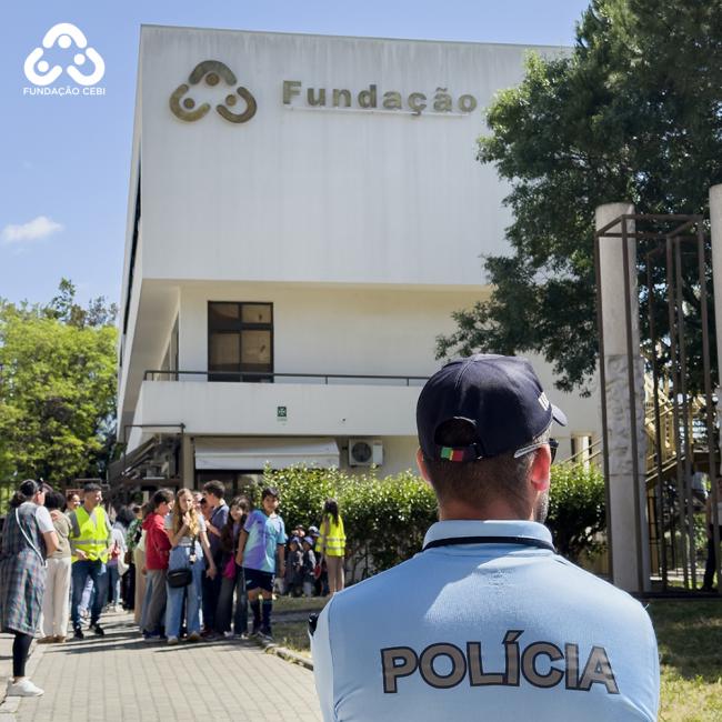 simulacro